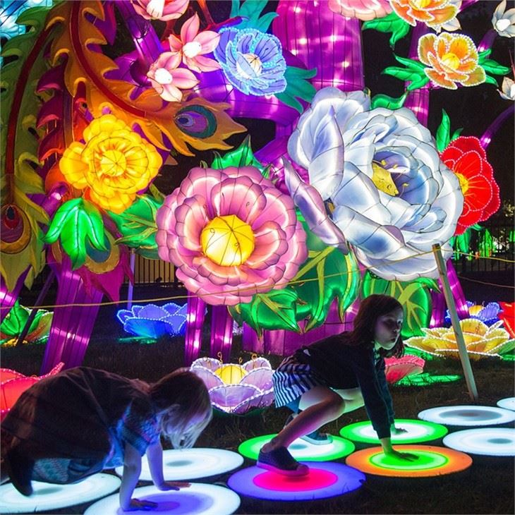Outdoor Led Festival Giant Lighting